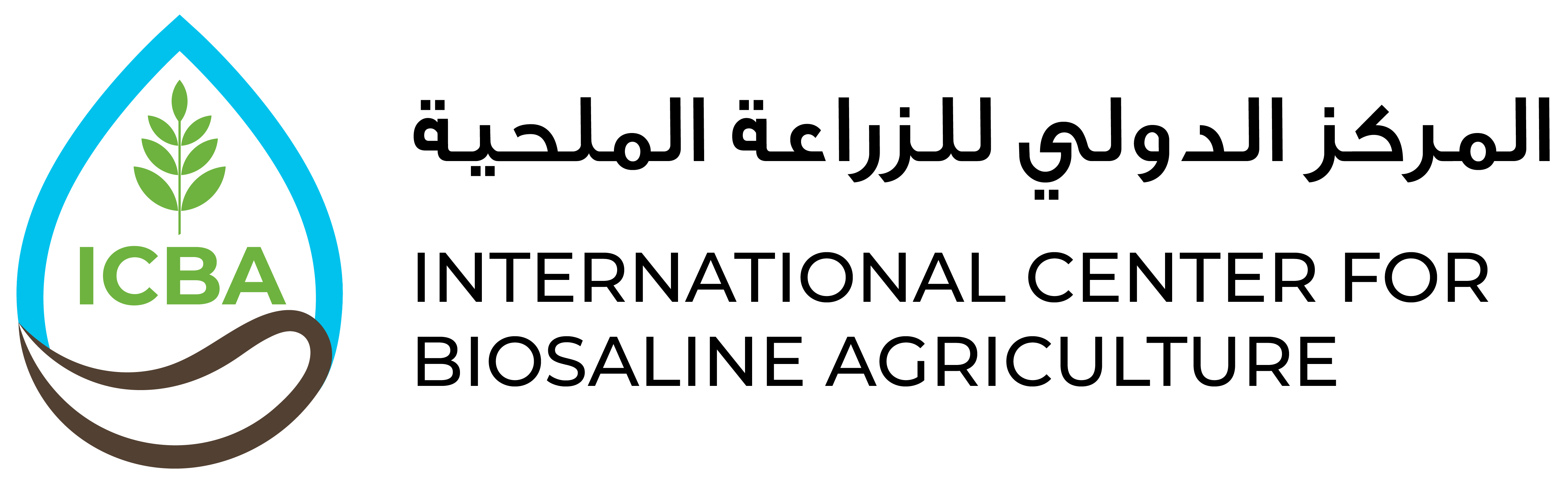 Логотип ICBA